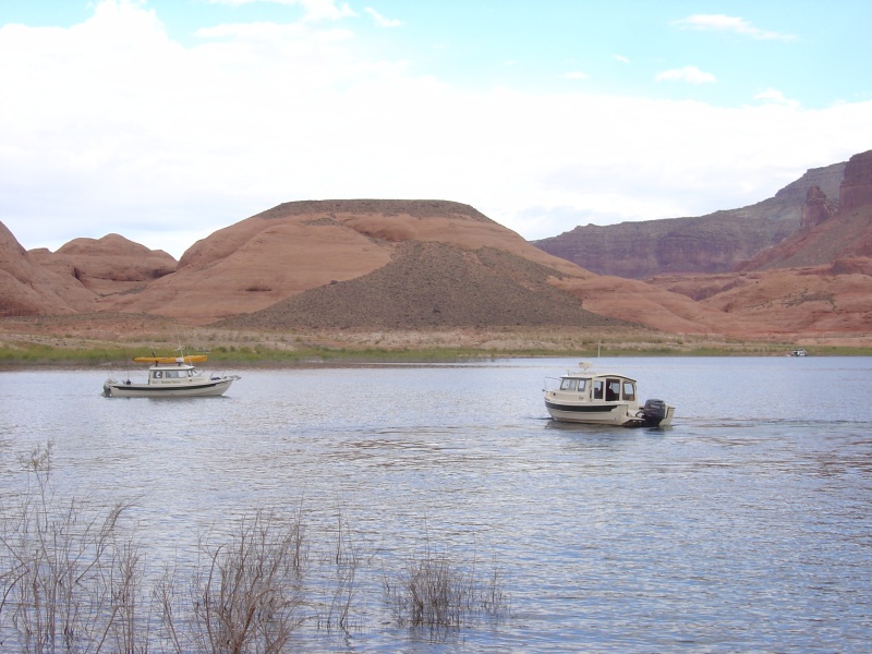 Bossa Nova and Rana Verde in Oak Canyon