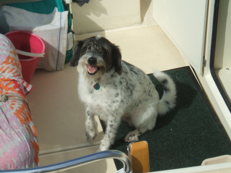 bosun mate "ruby"