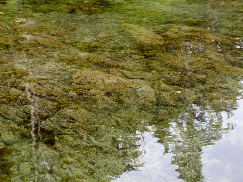 bottom paint left on rock sister lake