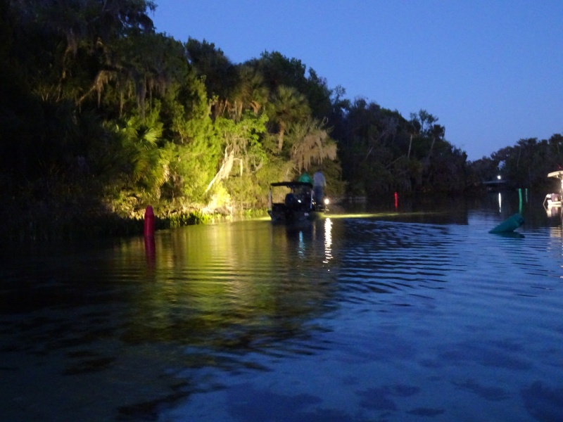 Bow hunting for Tilapia at Silver Glen (and Salt) springs.