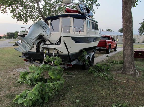 Branches down