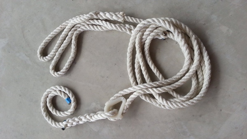Bridle with "Y" connection and tail
