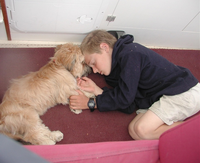 Bryce and Oscar Snoozin' On Daydream