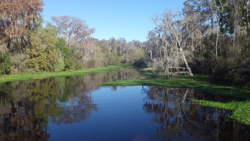 Bull Creek