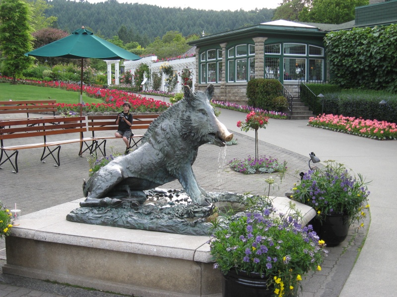 Butchart Gardens this guy gets a lot of attention, check the nose