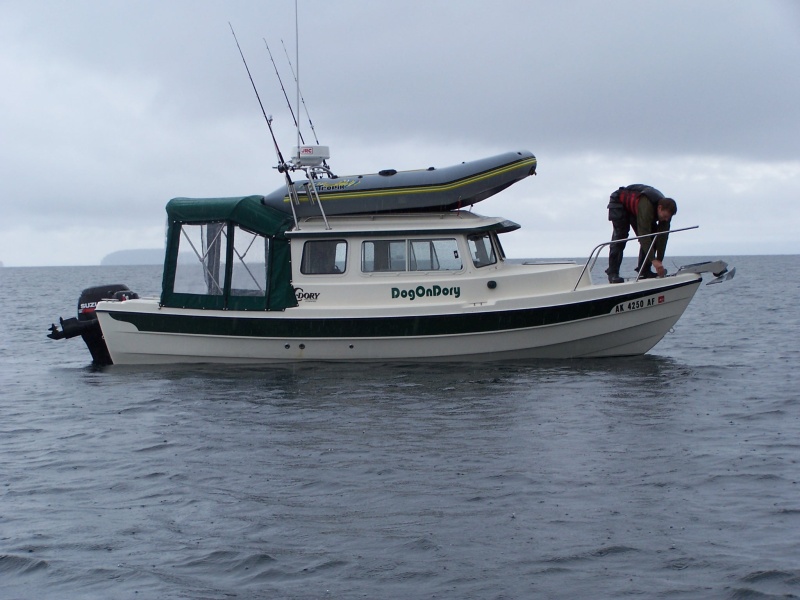 (C-Biscuit) Dogon Dory in Bass Harbor