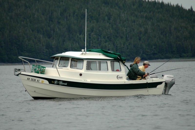 C-Biscuit fishing