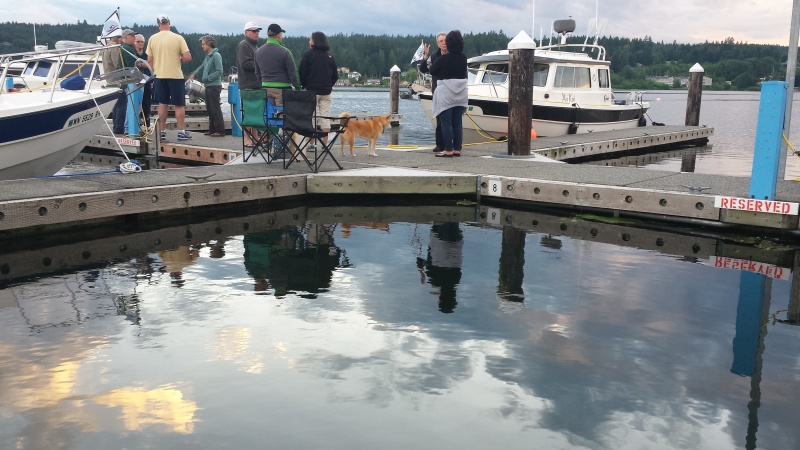C-Brat reflections