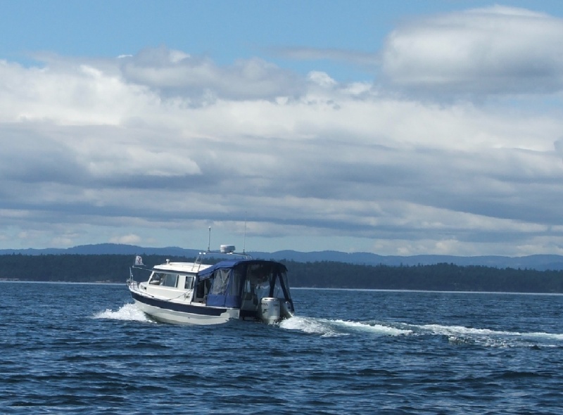 (c-dancer) Bess-C leader of whale watching C-Pod
