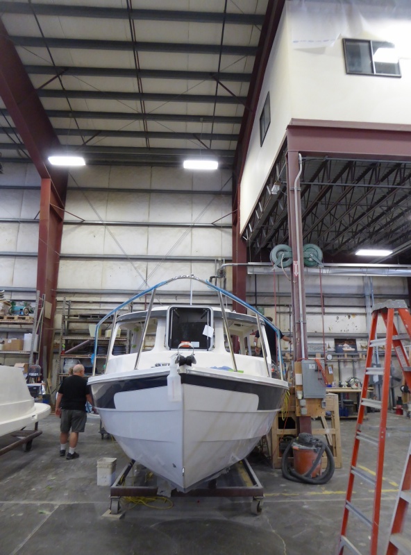 C-dory 25