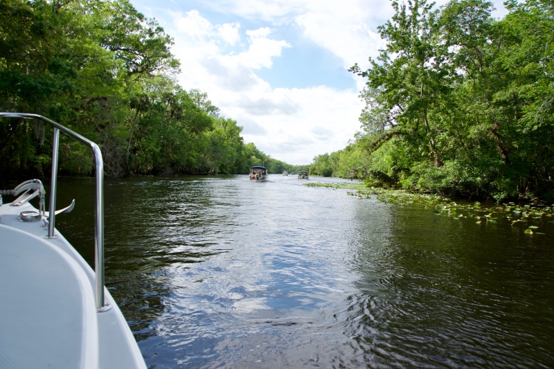 C Dory 5 up Norris Dead River.