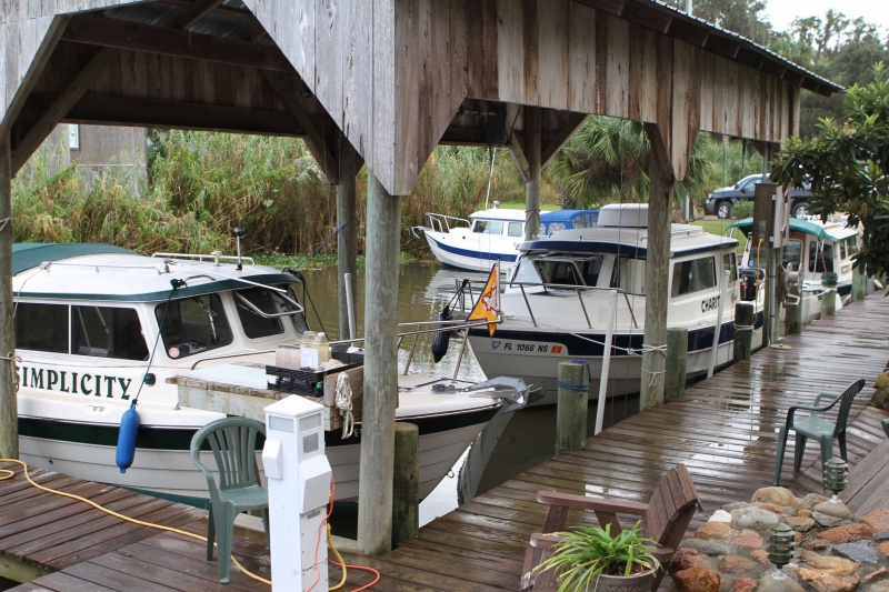 C Dory line up