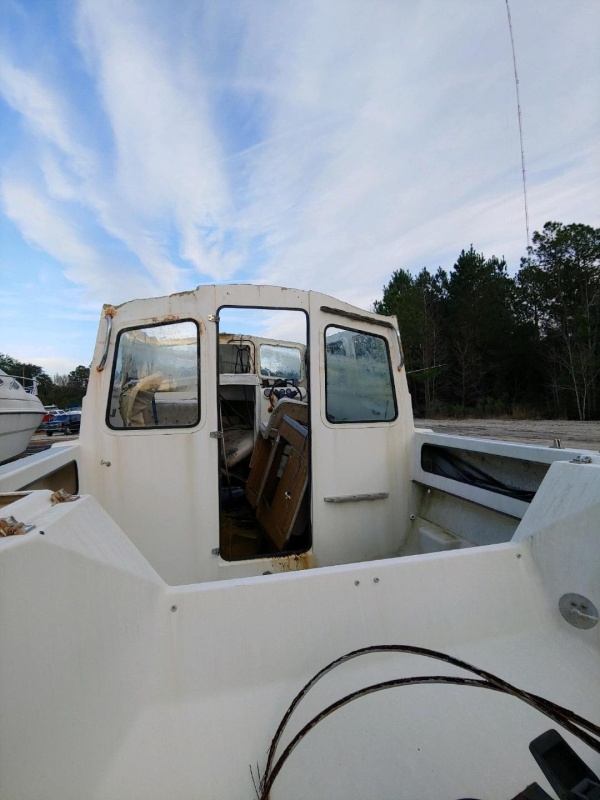 C Dory stern shot4