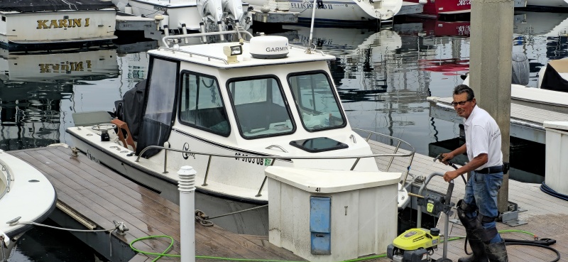 C-Dory