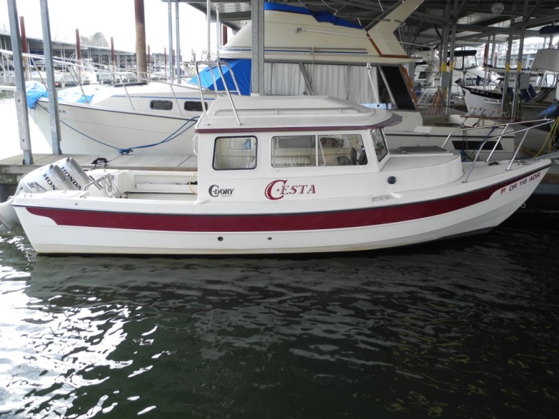C-dory_002.JPG