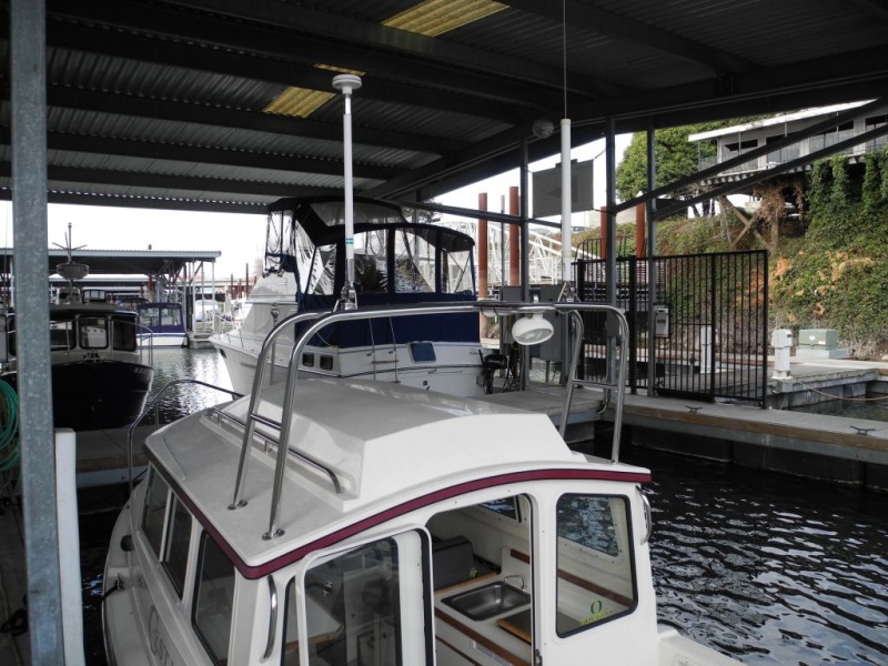 C-dory_005.JPG