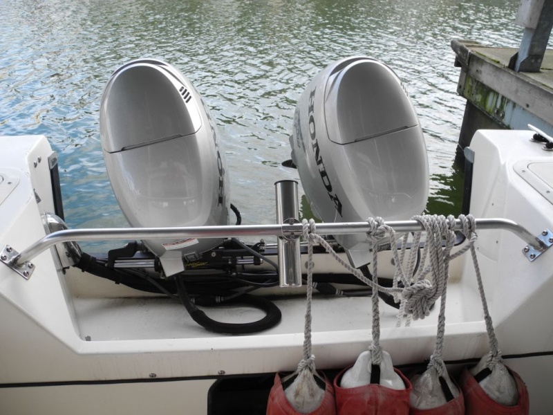 C-dory_007.JPG