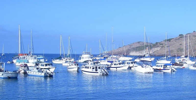 C-Dorys @ 2 Harbours on the string line