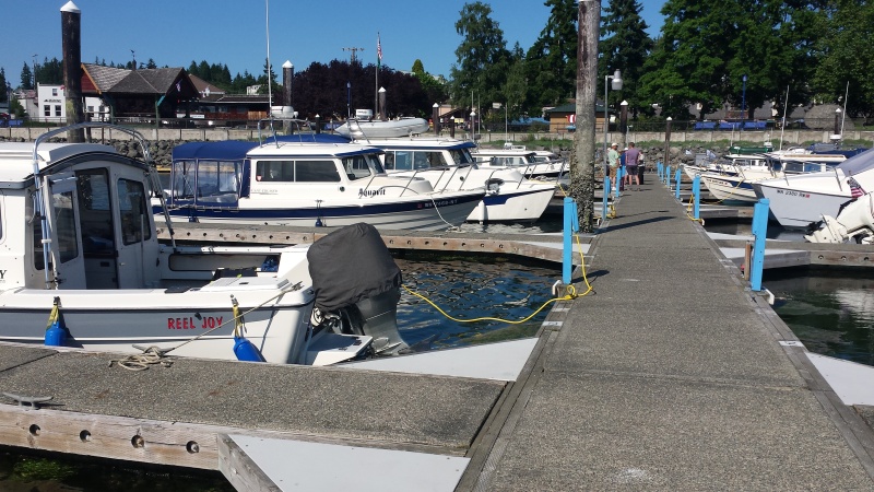 C-Dorys in Poulsbo