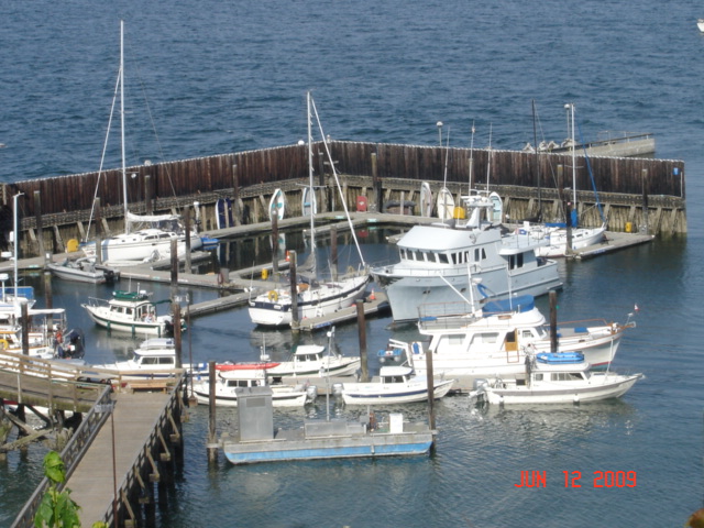 C-Dorys Langley Marina