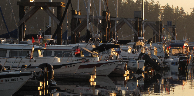 C-Dorys on H Dock in Early Morning Light