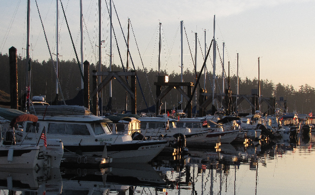 C-Dorys on H Dock in Early Morning Light