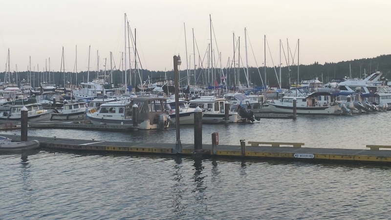 C-Dorys on the dock Saturday night