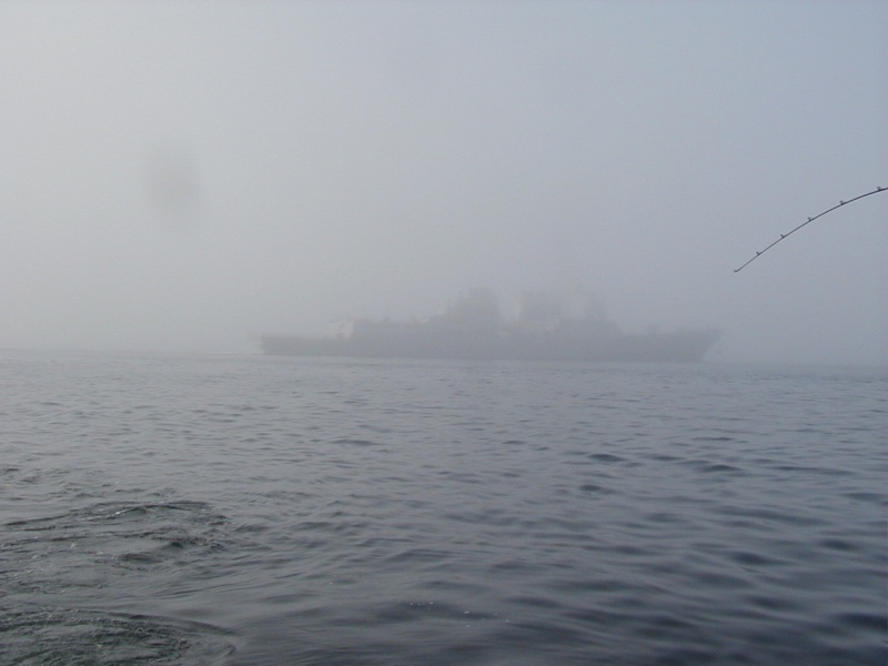 (C-Fisher)Just appeared out of the fog, Awsome!