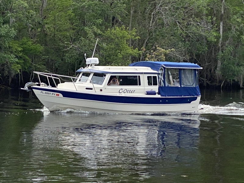 C Otter