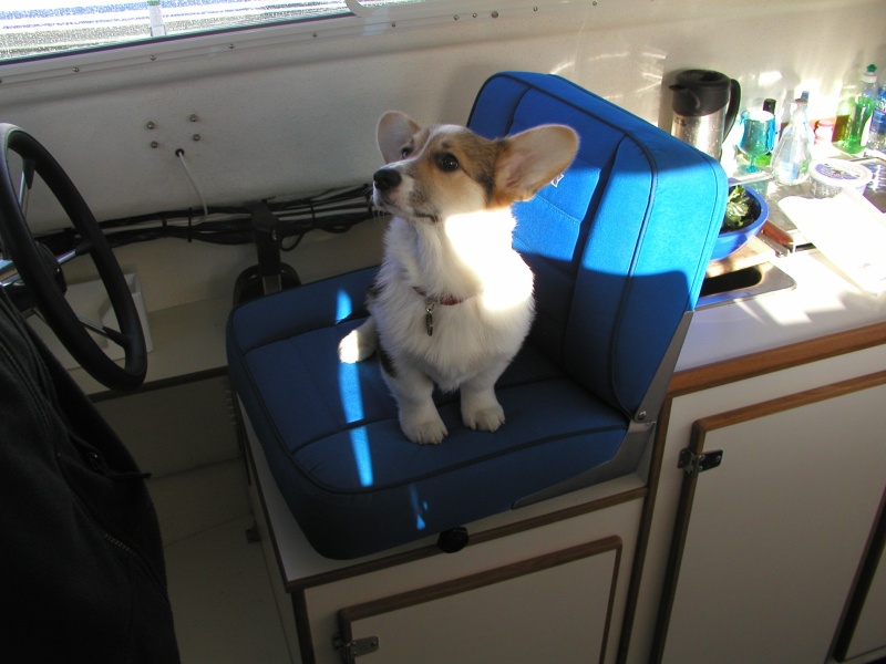 (C-Puffin) Trying to figure out how to drive the boat