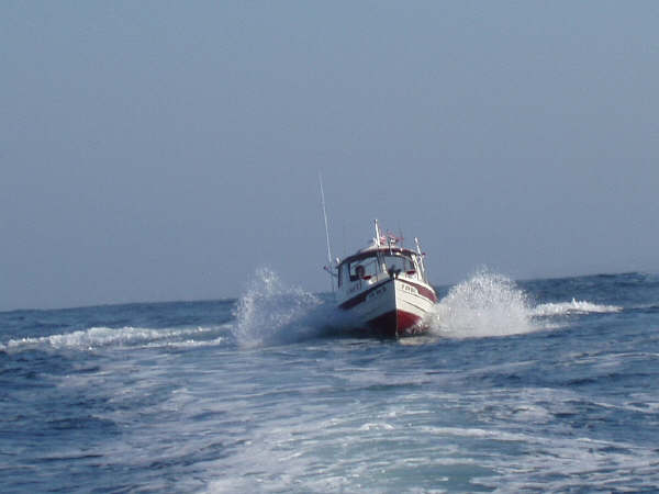 C-Pup16 front view at sea.jpg