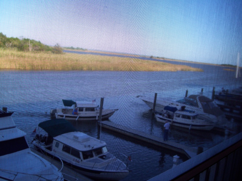 C-Tide, Falcon, Wilma Lee through the screen
