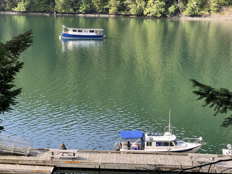 C-Traveler on the Reid Harbor dock with Electric Philosophy in the background