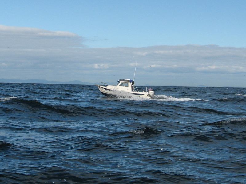 C-Voyager Straight of Juan De Fuca complements of Kevin & Tammy of the DogHouse