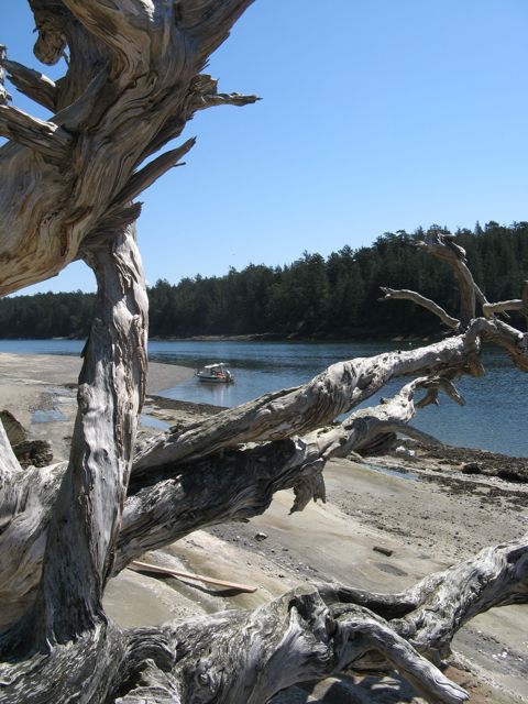 Cabbage Island, Tumbo Channel, Saturna Island