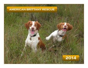 Calendar Cover Girls