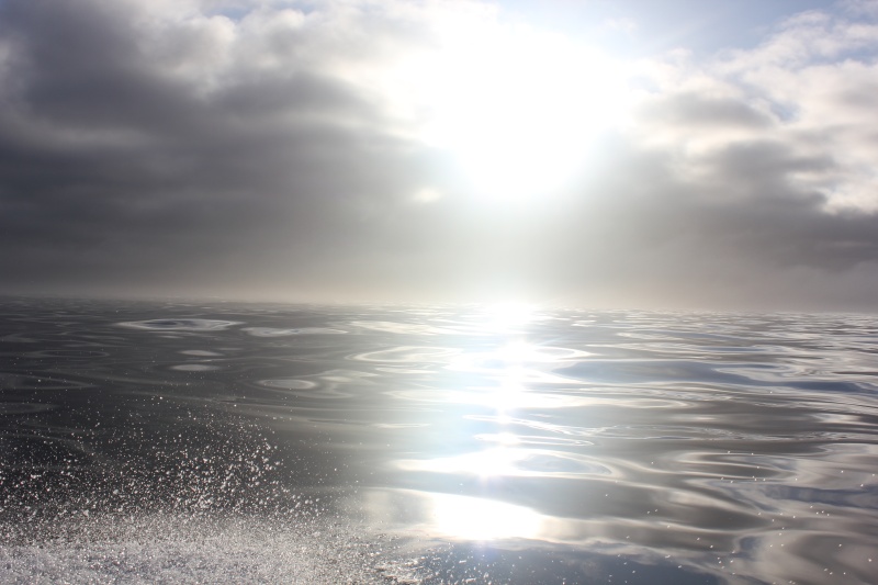 Calm morning heading offshore to fish