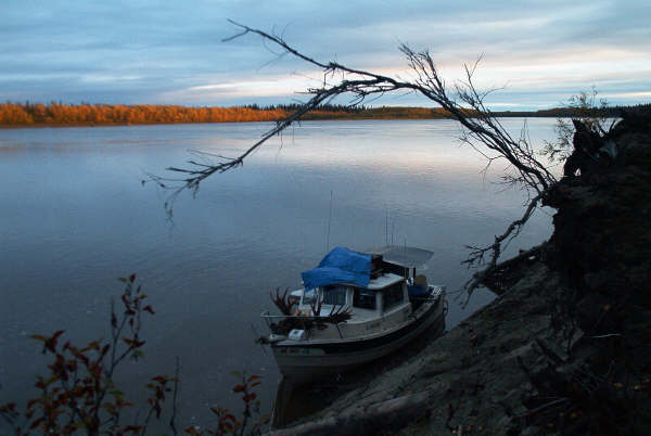 Camp on the Koyukuk.JPG