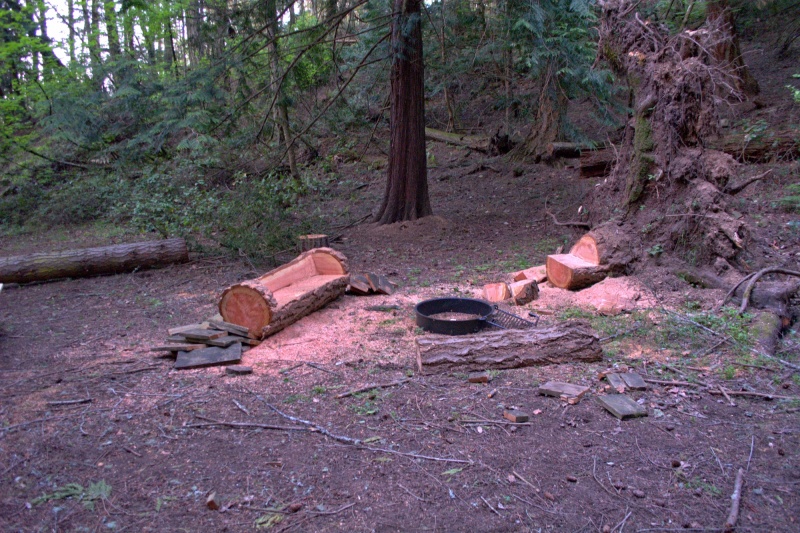 Campfire bench cut from a log