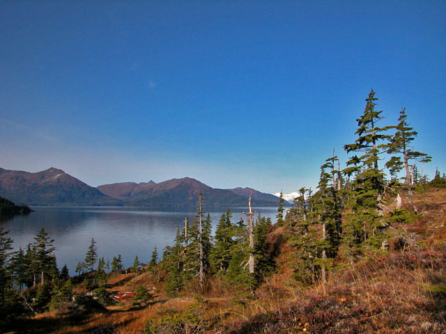 Cannery Ruins, McClure Bay, 10-14-06