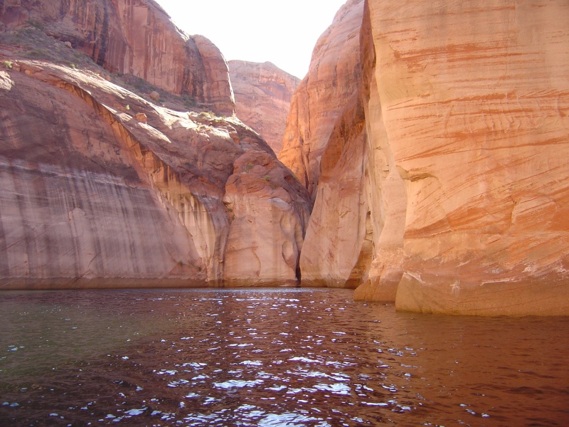 canyon with red and gold