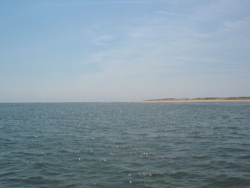 Cape Henlopen Point