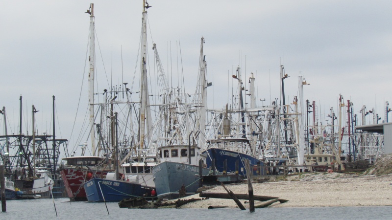 Cape May fishing Fleet