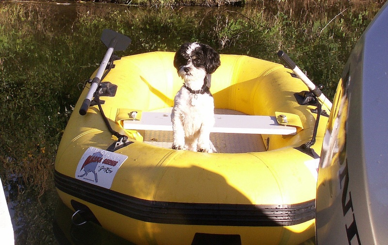 Captain Baxter - Priest Lake - 8-22-07