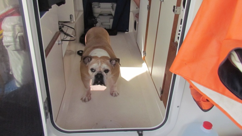 Captain Lucy




Captain Lucy
