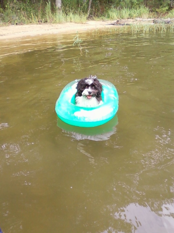 Captain of his own boat.