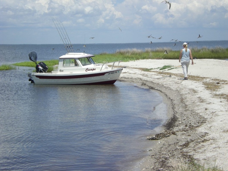 Careful of the nesting birds, but fish were swarming in the shallows