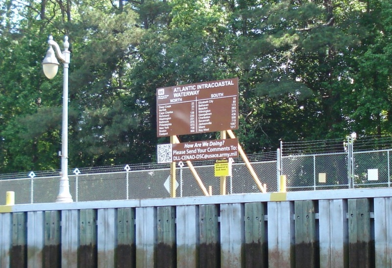 carolina loop 068