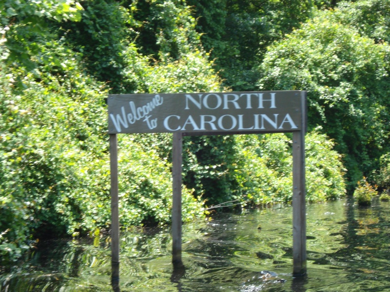 carolina loop 071