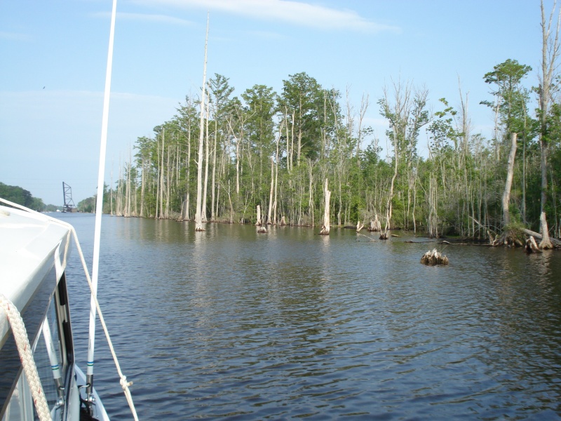 carolina loop 079